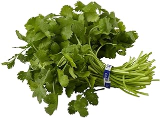 Natures Reward Cilantro, 1 EA