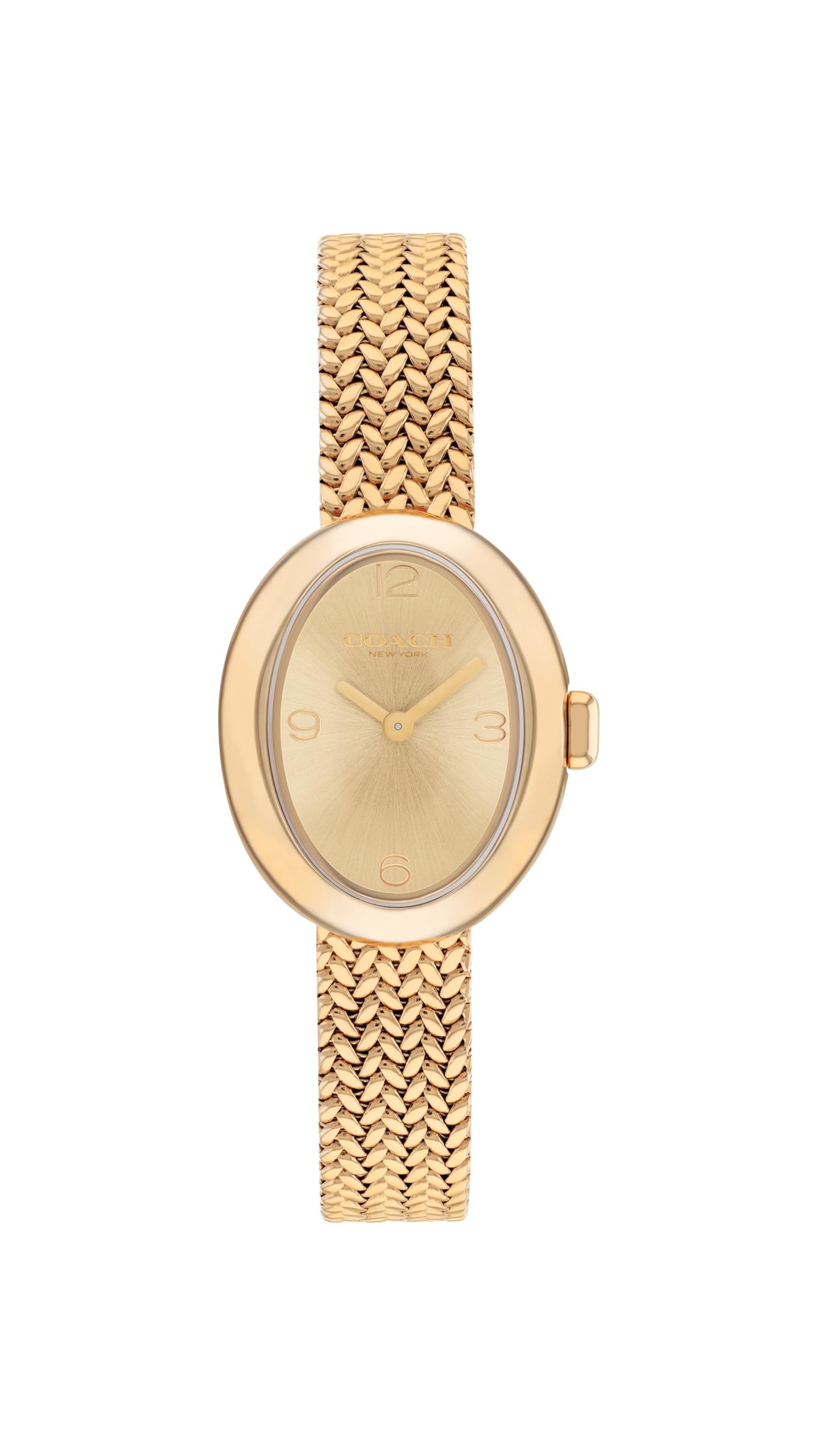 Coach Women's Sammy 2H Quartz Watch, 22.5 mm Petite Oval Case, Stainless Steel M
