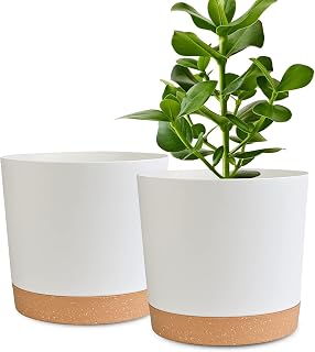 10 inch Plant Pots Indoor 2 Pack Flower Pots for Indoor Plants Pots Planters for Indoor Plants with Drainage Holes and Saucers Pots for Plants Flower Pot for Indoor Outdoor Garden Planters(White)