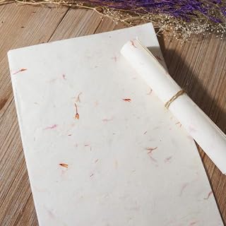 STOBOK 40pcs Chinese Calligraphy Paper Plant Flower Brush Rice Paper Craft Hand Made Art Tissue Xuan Paper Letter Writing Paper