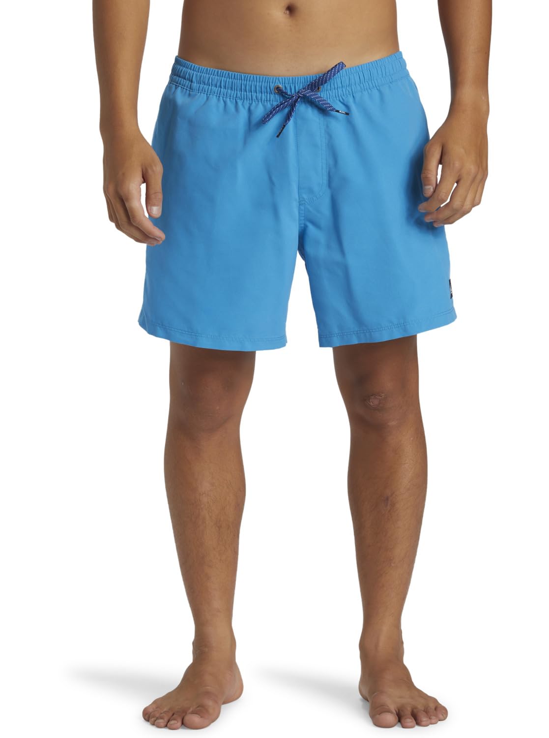 Quiksilver Everyday Solid 15" Men's Shorts (Pack of 1)