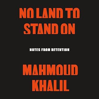 No Land to Stand On: Notes from Detention