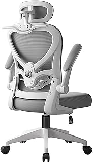 USOR Ergonomic Office Chair with Adjustable Lumbar Support & Headrest Mesh Computer Desk Chair for Adults Children High Back Swivel Task Chair with 2D Armrests, Tilt Function and Hanger, Grey