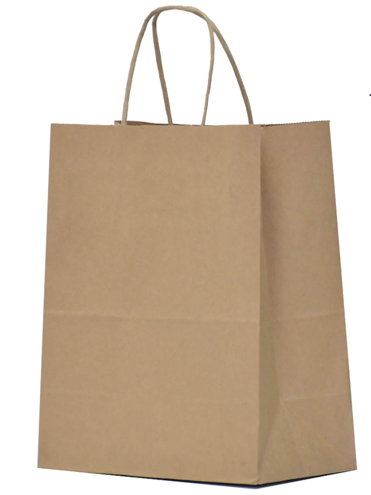Qutuus 25 Pcs Kraft Paper Gift Bags with Handles 8x4.5x10 Brown Gift Bags Bulk M