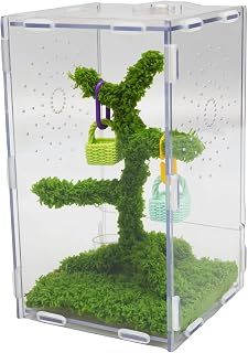 Jinymral Jumping Spider Enclosure with Jumping Spider Accessories – Acrylic Ventilation Terrarium Kit, Includes Feeding Tongs, Natural Decor, Habitat for Pet Spiders, Reptiles & Arboreal Pets