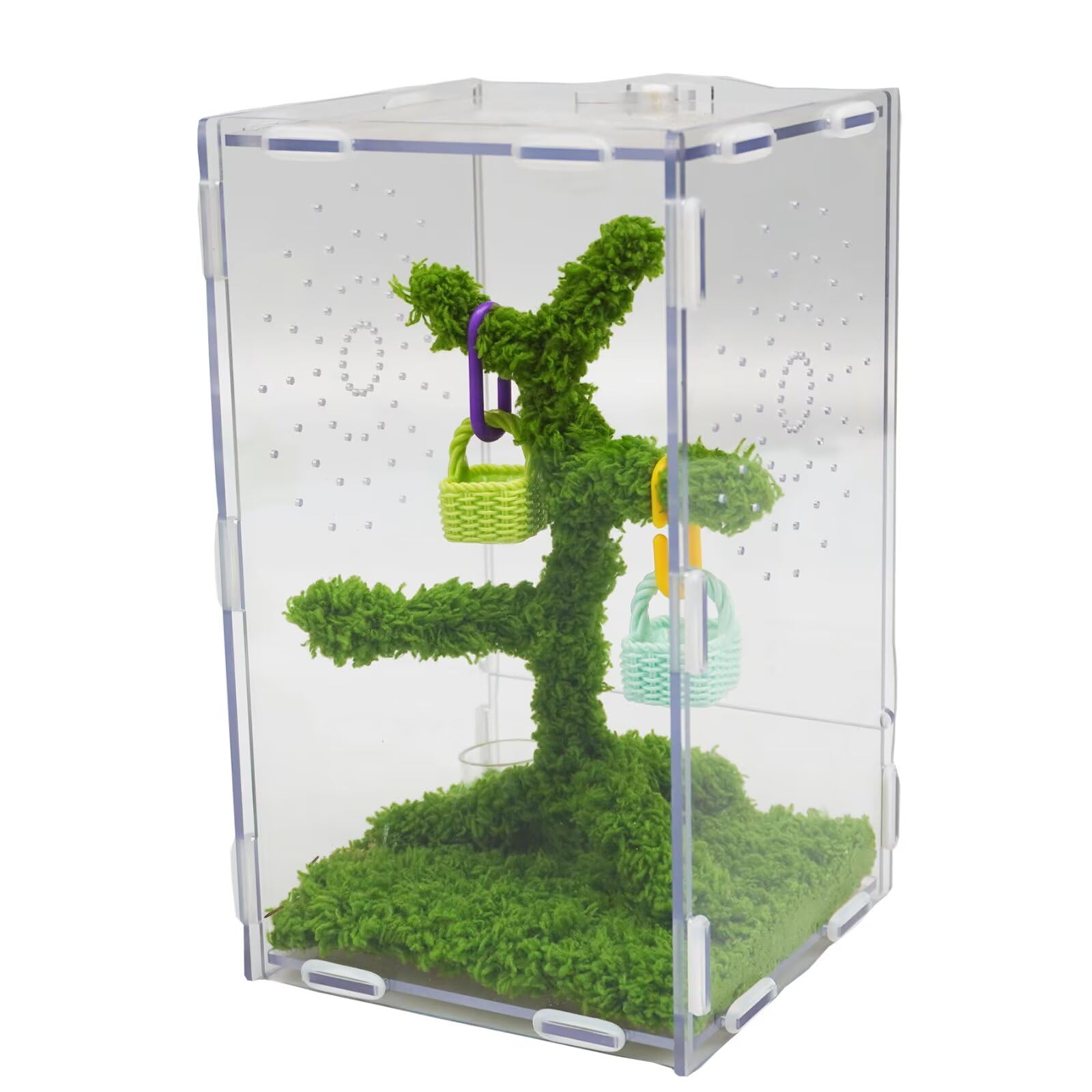 Jinymral Jumping Spider Enclosure with Jumping Spider Accessories – Acrylic Vent