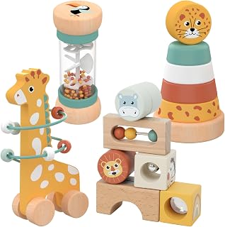 Nene Toys 4-in-1 Wooden Sensory Toy Set, Montessori Toys for 1-Year-Olds