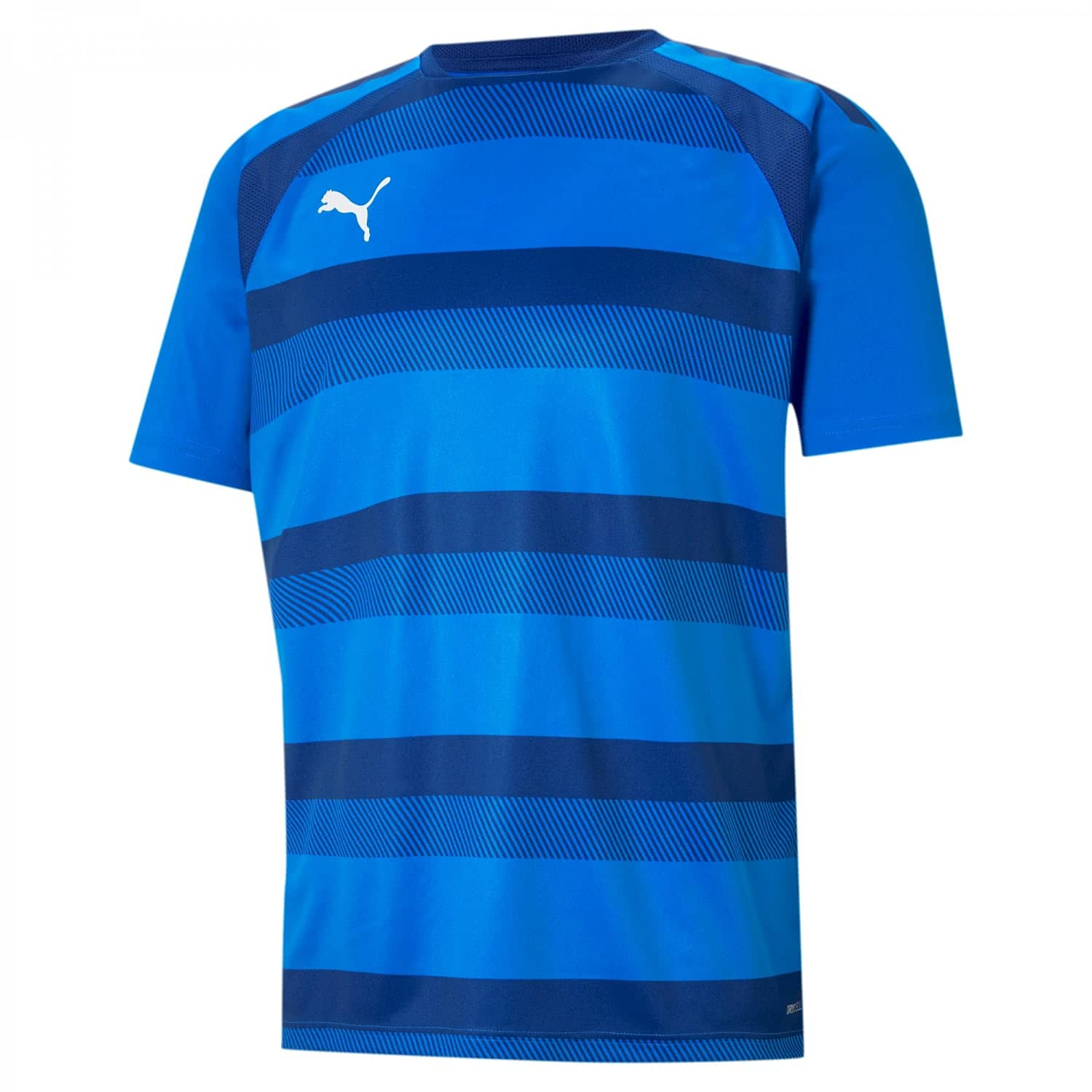 PUMA Unisex Teamvision Jersey T-Shirt