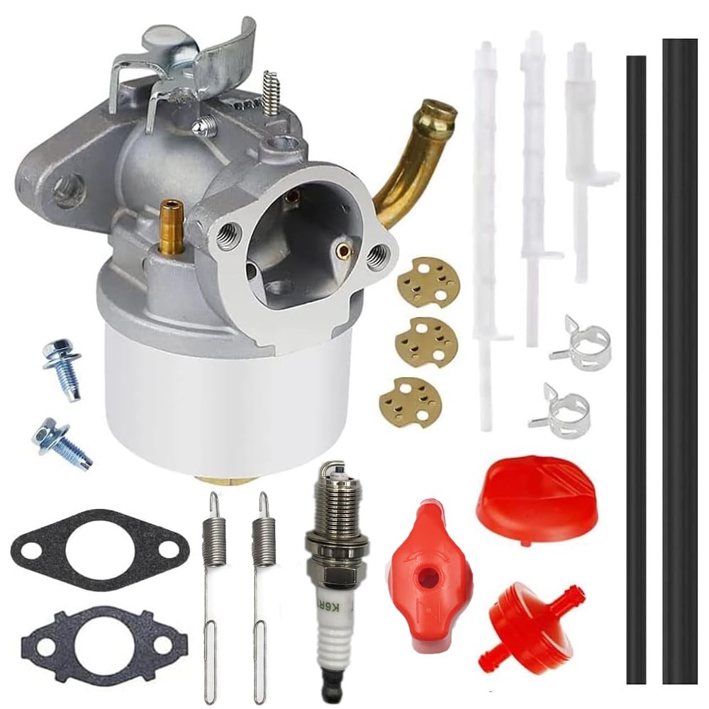 Ajnlx Carburetor Carb Compatible with 250cc Briggs & Stratton 1150 11.50 ft Snow