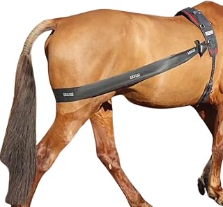 Premium Lunging Band For Horse - Equine Hind Quarter Lunging Strap
