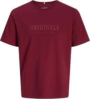JACK & JONES Jorfrederiksberg Tee SS Crew Neck Noos Jorfrederiksberg - Men's Crew Neck T-Shirt (Pack of 1)