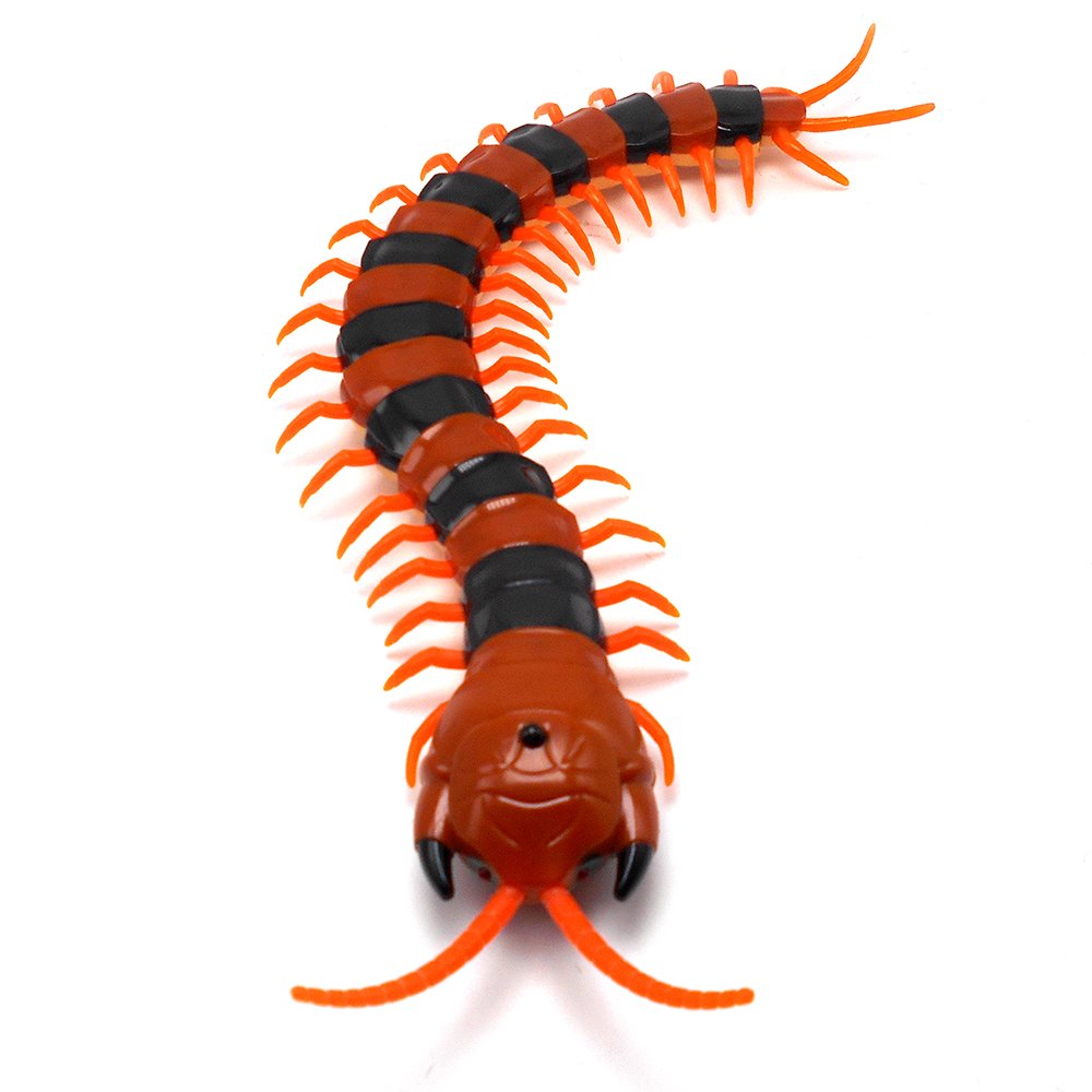 Tipmant Realistic Giant RC Centipede Scolopendra Infrared Remote Control Vehicle