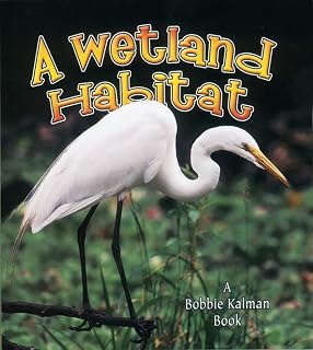A Wetland Habitat (Introducing Habitats)