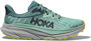 HOKA Arahi 6 Shoes