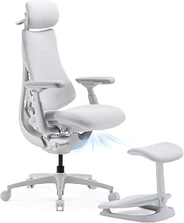 LiberNovo Omni PRO Dynamic Ergonomic Office Chair, Built-in Fan, 48cm