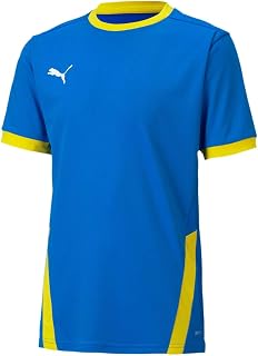 Puma teamgoal 23 jersey jr