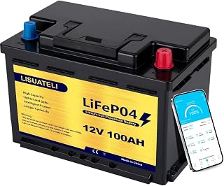 12 V 100 Ah bis zu 7000 Deep Cycle Lithium-Eisenphosphat-Batterie mit BMS für Camper, Wohnmobil, Solar, Marine, Golfwagen, Energieversorgung, Notfall, Betrieb in Reihe oder parallel
