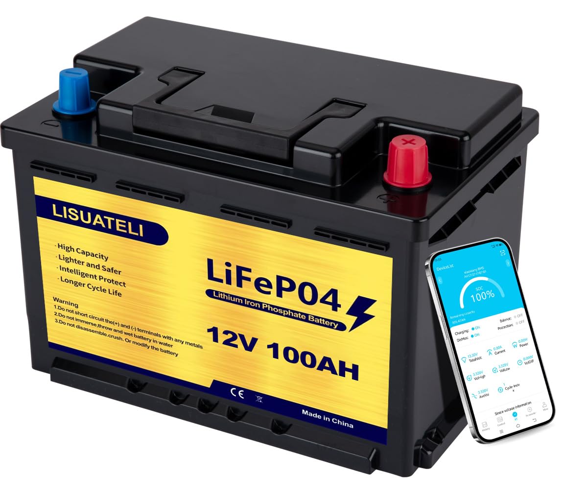 12 V 100 Ah bis zu 7000 Deep Cycle Lithium-Eisenphosphat-Batterie mit BMS für Ca
