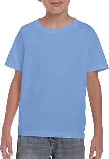 Gildan DryBlend 50/50 Youth T-Shirt, Carolina Blue, Small