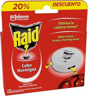 Raid ® Baits - Ant Trap - Removes Whole Ant Cologne - Effective Indoor & Outdoor - 1 Count (Pack of 1)