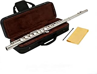 C Flute 16 Key Closed Hole - Beginner Flute to Professional Concert Flute | Nickel/Silver Plated Flute Instrument with Cleaning Kit, Case & Tuning Rod | Flutes for Beginners, Students & Professional
