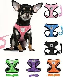 Small Cat Dog Harness - All Weather Mesh, Reflective, 4' Traction Rope, No Pull Harness for Small Dogs and Cats - Hook & Loop Fasteners, Buckle, Double D-Rings, S, Pink