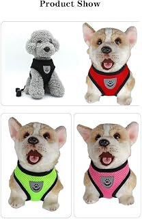Small Cat Dog Harness - All Weather Mesh, Reflective, 4' Traction Rope, No Pull Harness for Small Dogs and Cats - Hook & Loop Fasteners, Buckle, Double D-Rings, Large, Black