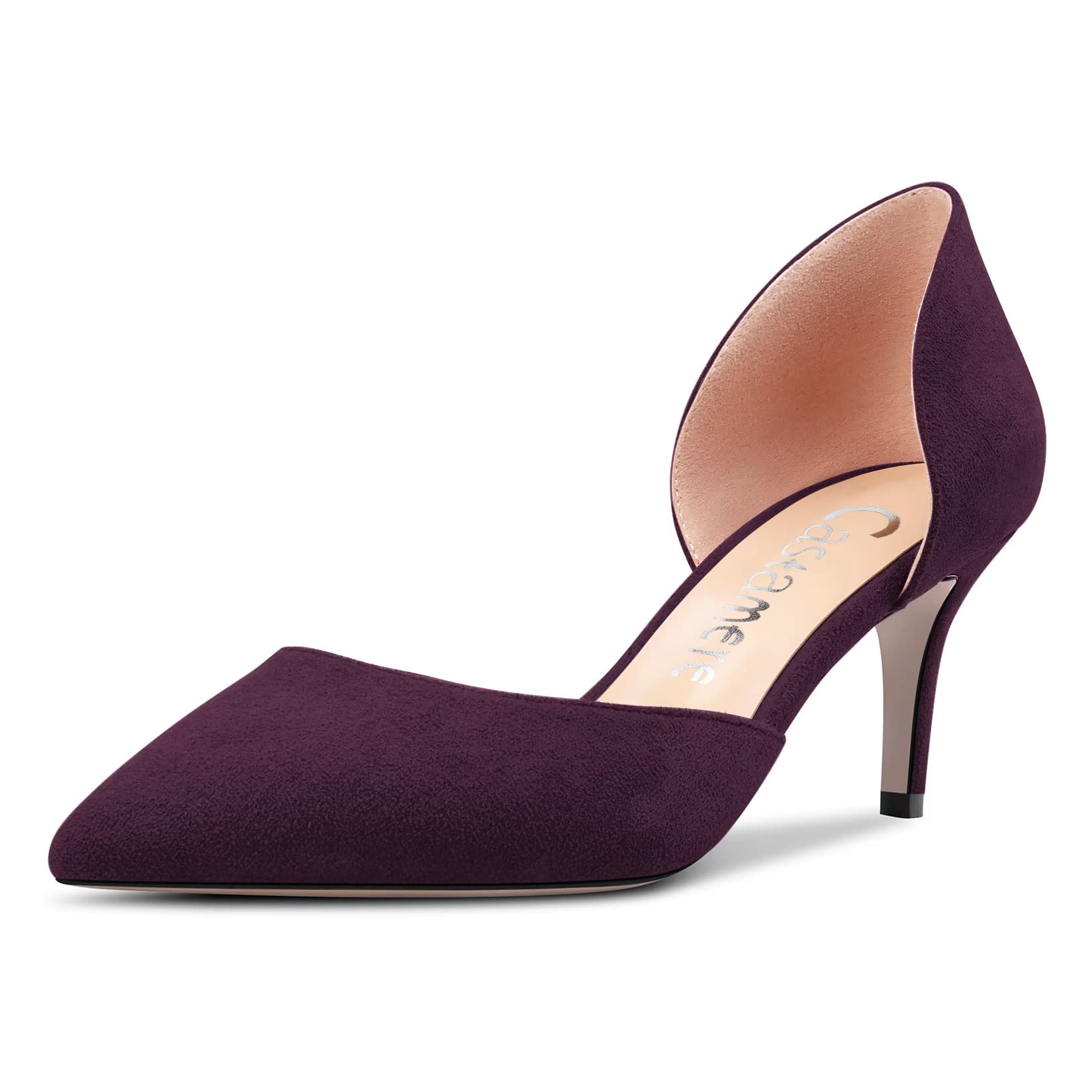 Castamere Women's Needle Medium Pointed Toe Pumps Two-Piece Slip-on Office Class