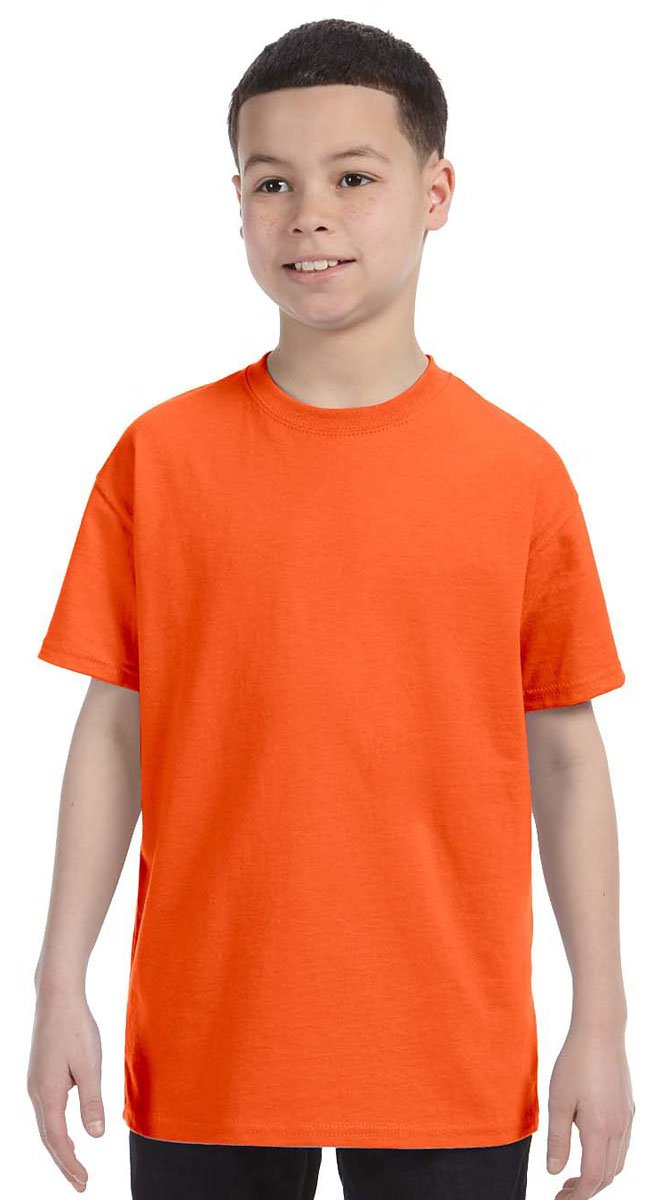 Gildan Softstyle® Women's T-Shirt