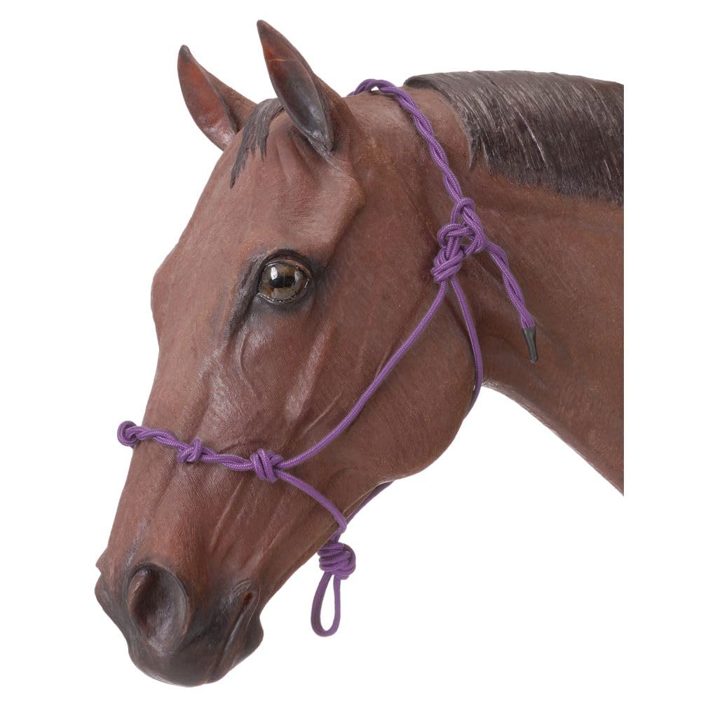 Tough 1 Knotted Rope & Twisted Crown Training Halter