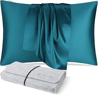 DISANGNI 100% Natural Mulberry Silk Pillow case for Hair and Skin with Hidden Zipper 22 Momme Both Sides Real Silk Pillow Case (1pc Queen Size 20" x30", Blue Green)