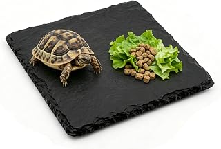 Natural Slate Tortoise Basking Platform, 10x10cm, Reptile Accessories | Natural Slate Basking Platform, 10x10cm, for Tortoise Enclosure Accessories, Heat Retention, Feeding Dish, Humidity Control