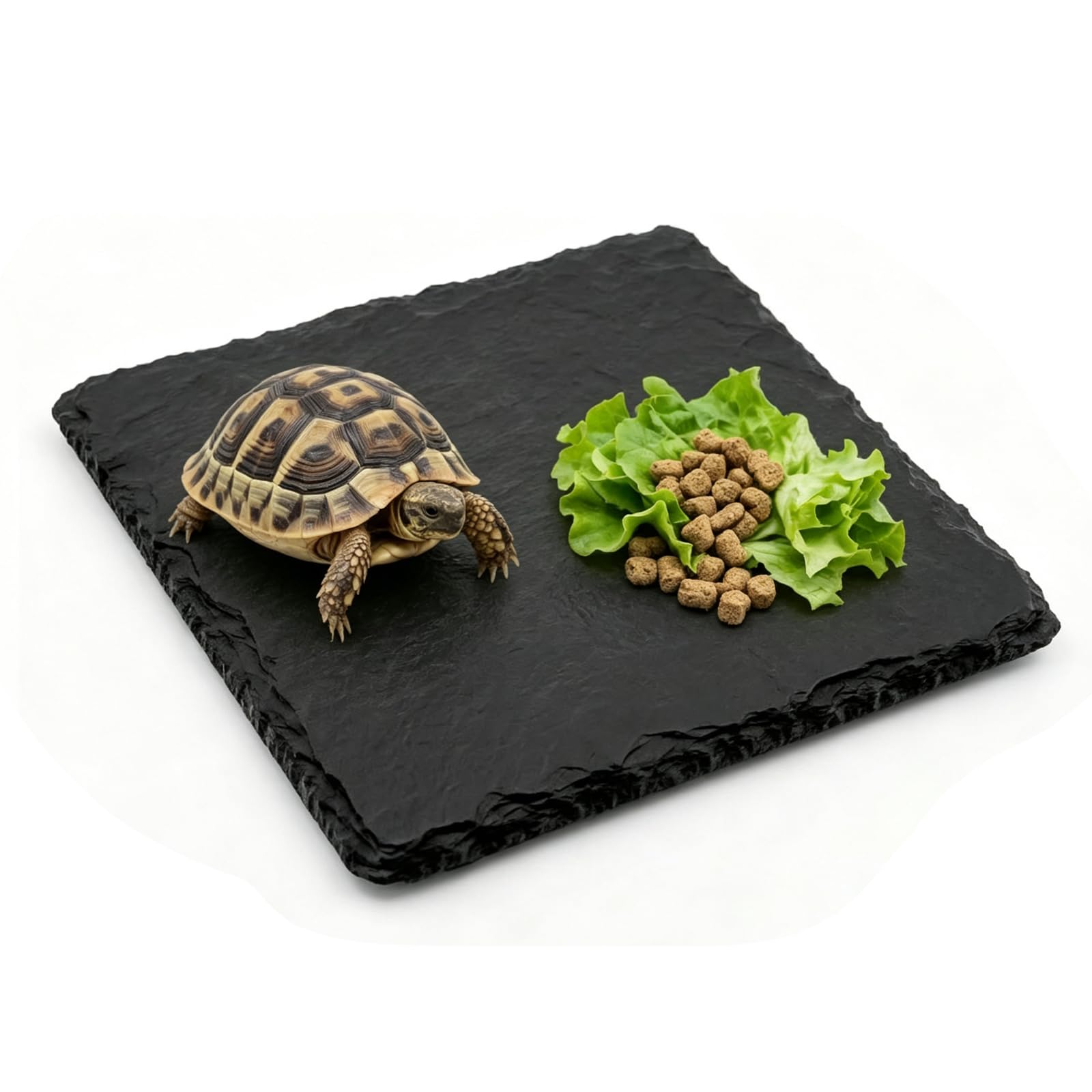 Natural Slate Tortoise Basking Platform, 10x10cm, Reptile Accessories | Natural 