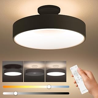 Ceiling Light, LED Indirect Lighting, 107 sq ft (6 tatami), Remote Control, 12 Levels, Dimming, Color Tuning, Off Timer, Energy Saving, Ceiling Lighting, Stylish, Japanese Room, Western Room, Room