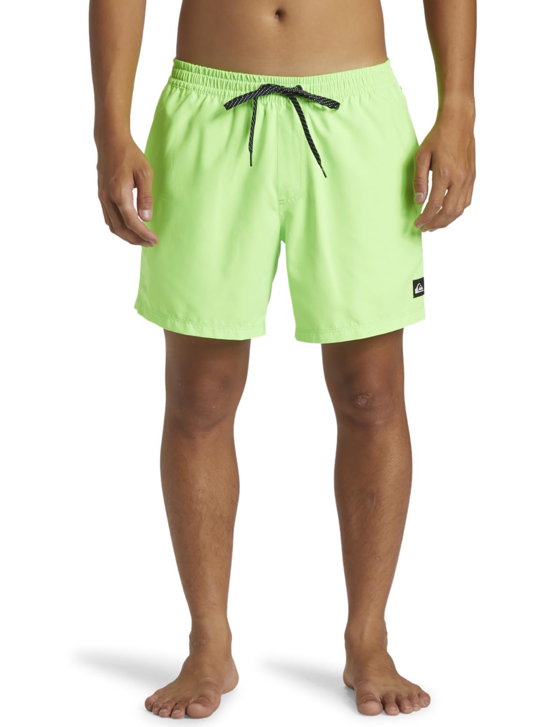 Quiksilver Everyday Solid 15" Men's Shorts (Pack of 1)