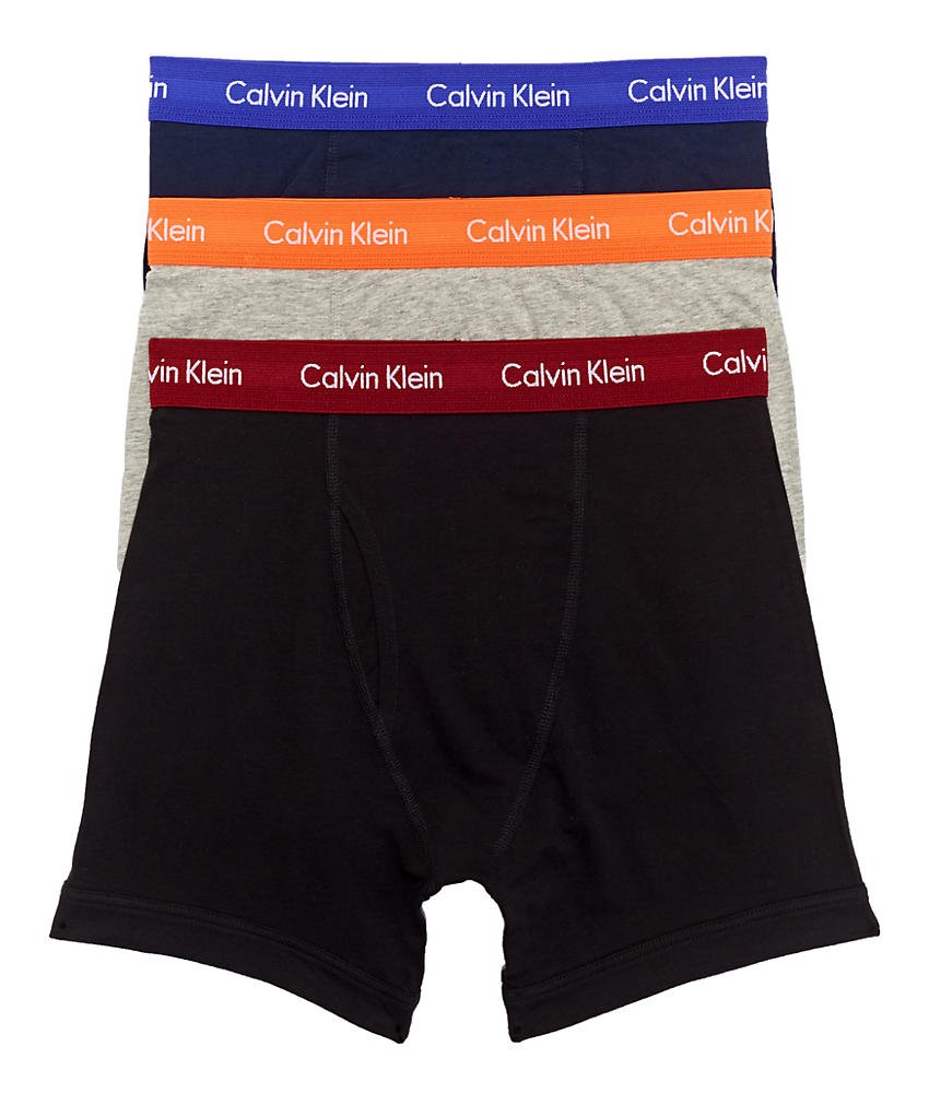 (Calvin Klein) Calvin Klein Boxer Shorts Long Steel Micro Boxer Brief Men's [Par