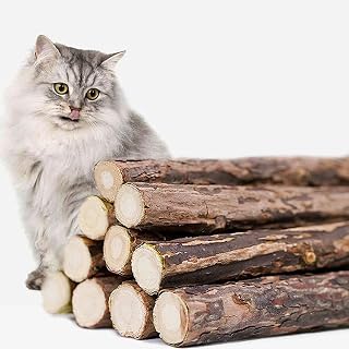 Cat Bite Toys for Teeth Cleaning and Relaxation, Fresh Scented Cat Chew Toy, Safe and Non-Toxic Indoor Cat Toy, Soothing for Kittens and Cats, Ideal Gift for Pet Owners