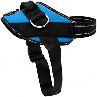ShawnCo Essential Dog Harness, No-Pull Pet Vest (Oceanic Blue,S) | 3 Leash Clips, Easy On, No-Choke, Reflective, Adjustable Fit, Padded Comfort, Control Handle, For Small, Medium & Large Dogs