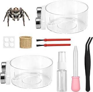 XIHIRCD 12pcs Jumping Spider Feeding Food Dish Accessories Set | Magnetic Food Dish, Curved Tweezers, Dropper, Spray Bottle, Tiny Dish, Magnets, Brushes, Jumping Spider Enclosure Accessories
