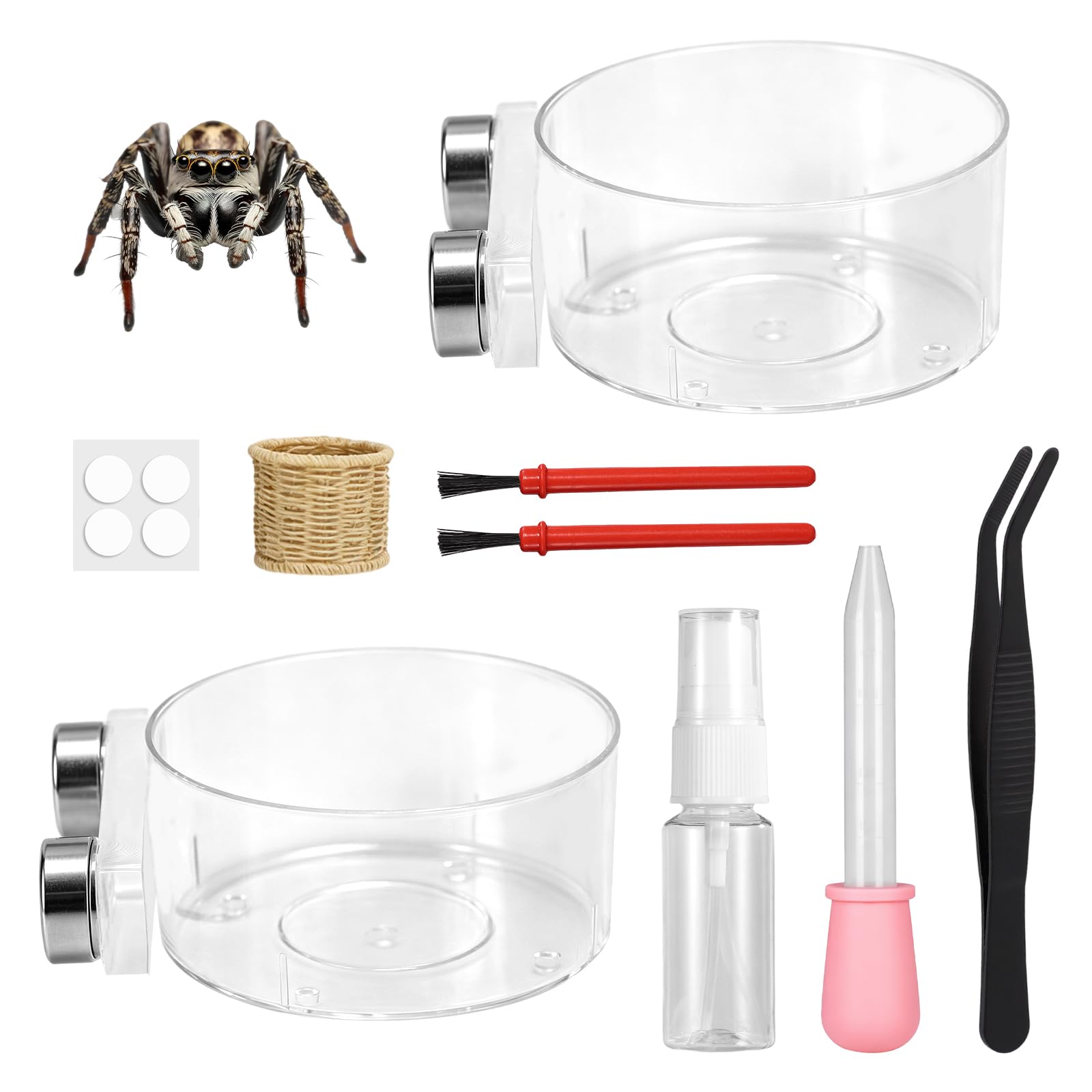 XIHIRCD 12pcs Jumping Spider Feeding Food Dish Accessories Set | Magnetic Food D