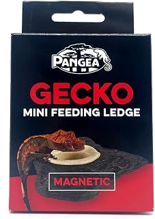Pangea Mini Magnetic Gecko Feeder Ledge