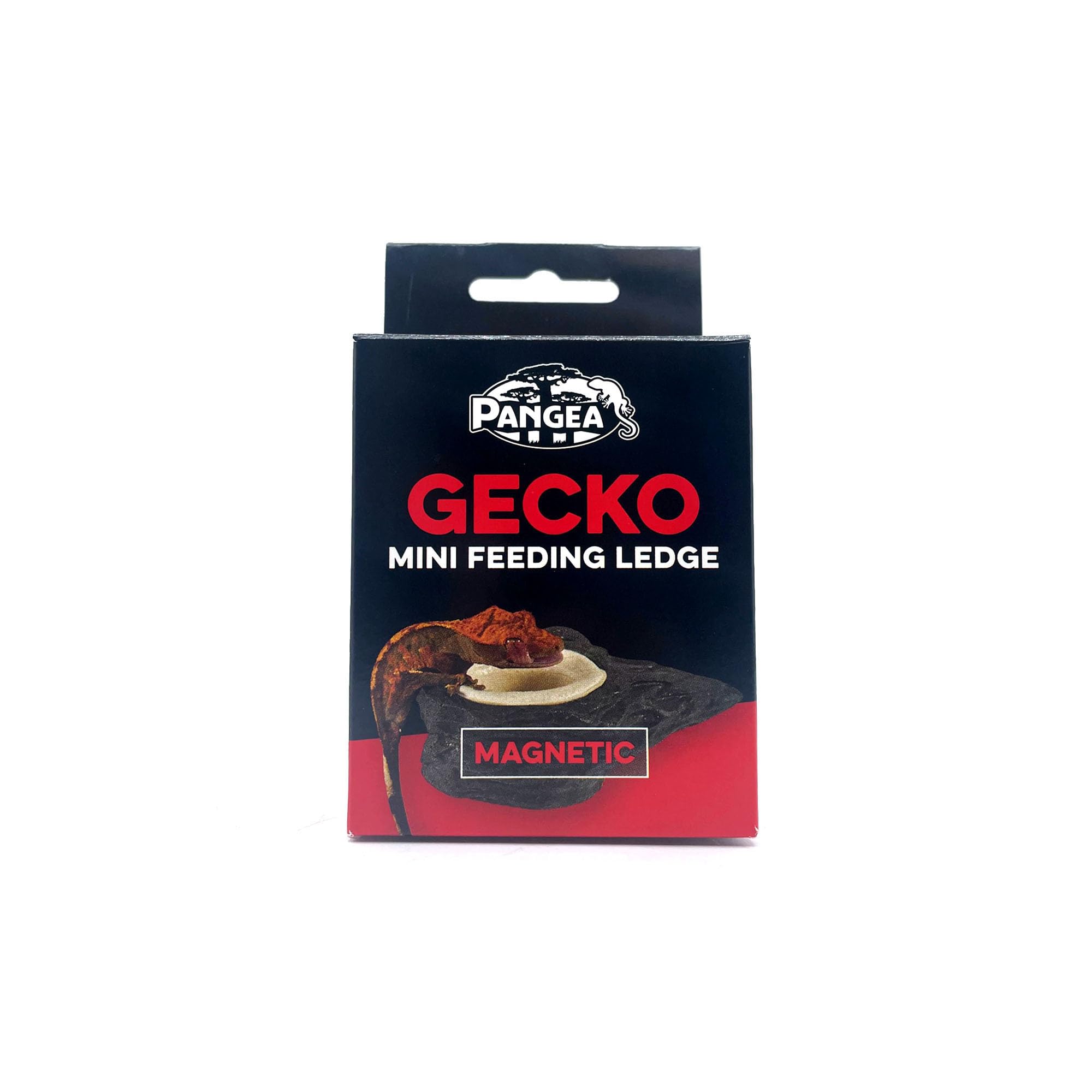 Pangea Mini Magnetic Gecko Feeder Ledge