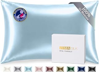 ZIMASILK 25 Momme 100% Mulberry Silk Pillow Cases, Light Blue, Queen
