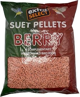 Extra Select Berry High Energy Suet Pellets Wild Bird Food - Protein, Fat Rich Year-Round Feeding - 3 Kg Refill
