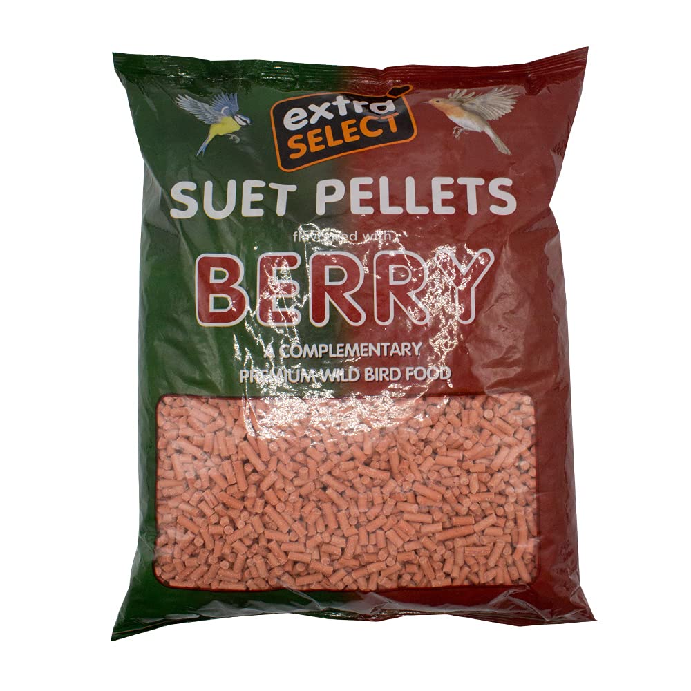Extra Select Berry High Energy Suet Pellets Wild Bird Food - Protein, Fat Rich Y