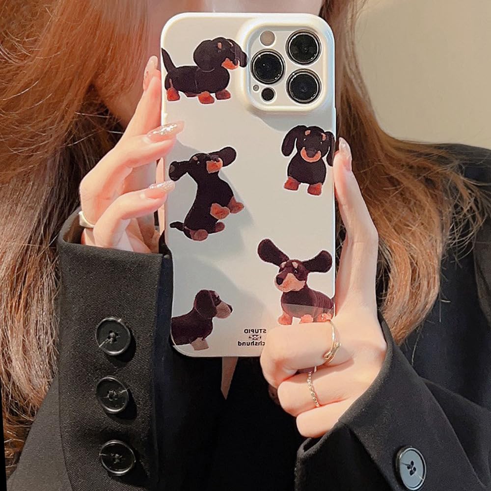Compatible with iPhone 12