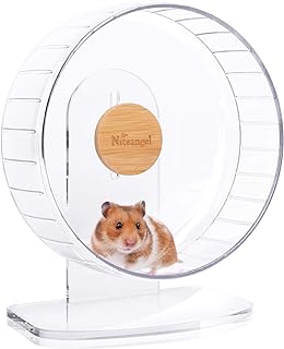 Niteangel Super-Silent Hamster Exercise Wheels - Quiet Spinner Hamster Running Wheels with Adjustable Stand for Dwarf Syrian Hamsters Gerbils Mice Or Other Small Animals (Transparent, Medium)