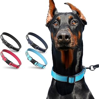Reflective Nylon Dog Collar with Buckle, Soft Breathable Mesh Adjustable Pet Collar with Double D-Rings for Small, Medium, Large Dogs (Red, Small)