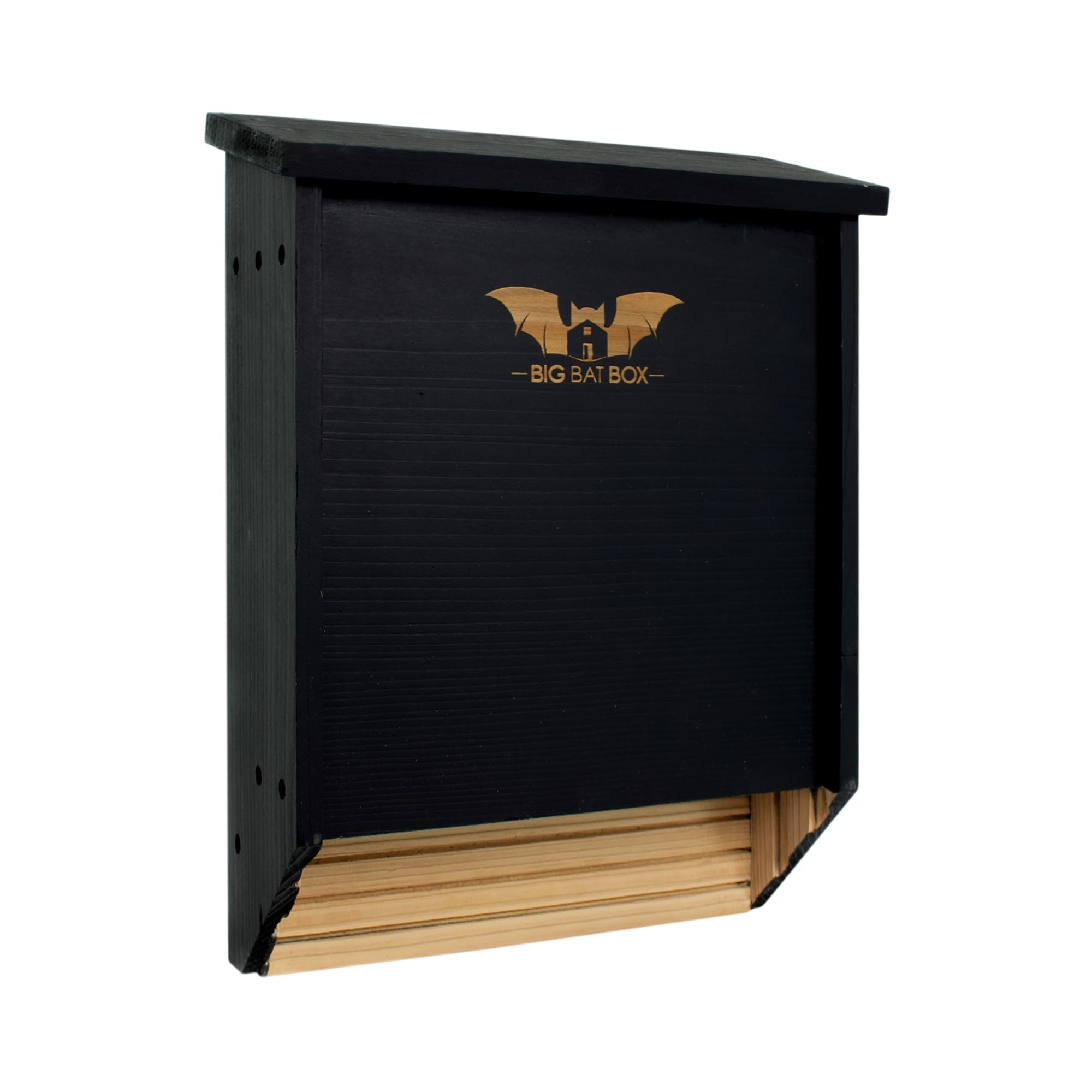 BIGBATBOX Bat House for Outdoors - Large 2 Chamber, Black, Holds 75 Bats | Durab