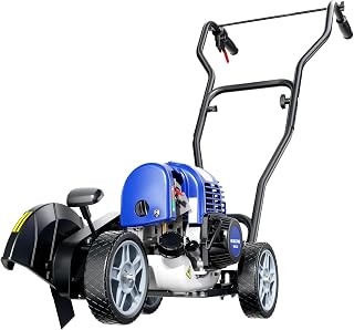 Wild Badger Power 31cc 4-Cycle Gas Walk-Behind Lawn Edger, 9.5-in Blade | 31cc 4-cycle walk-behind edger with 9.5-in 2-tooth blade and 5 cutting depths for sidewalks, driveways and lawn borders.